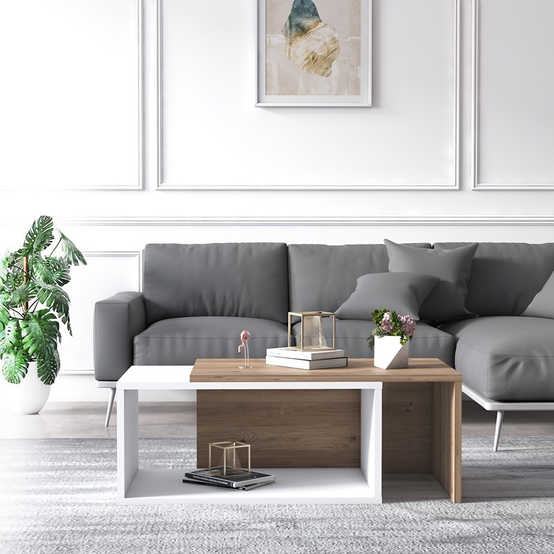 Set of Tv unit and coffee table - BUN18